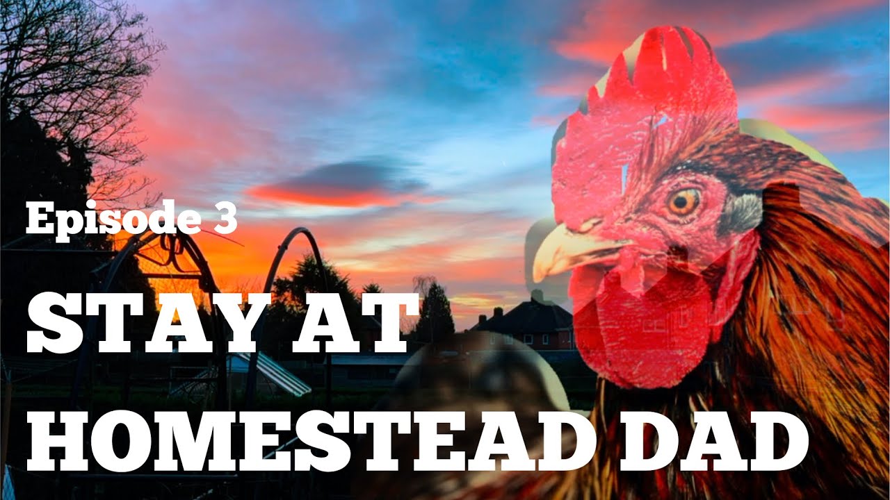 Stay At Homestead Dad - Episode 3