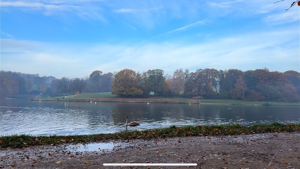 Still Lake Morning | Gentle Ripples, Passing People & Real Birdsong | Calm UK Ambience 4K