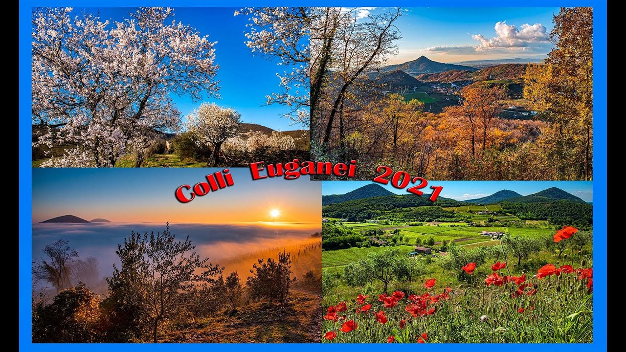 Colli Euganei foto anno 2021
