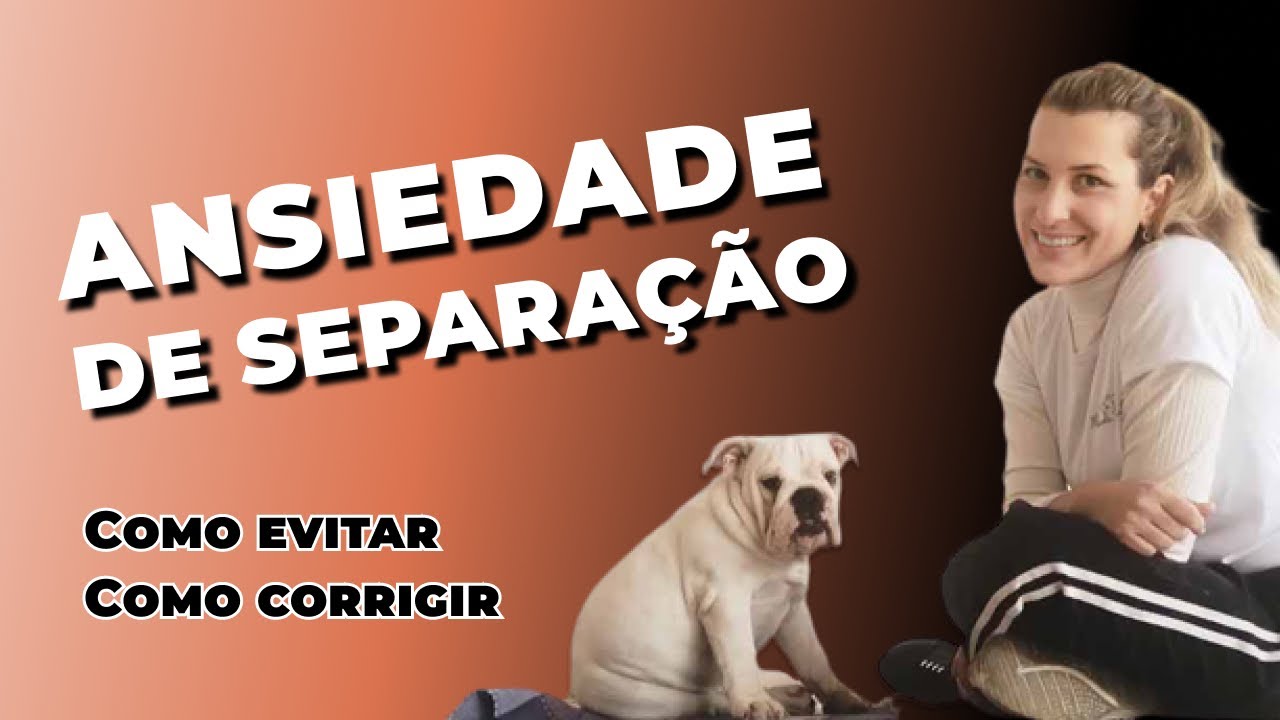Guia completo para prevenir a ansiedade de separação em cachorros