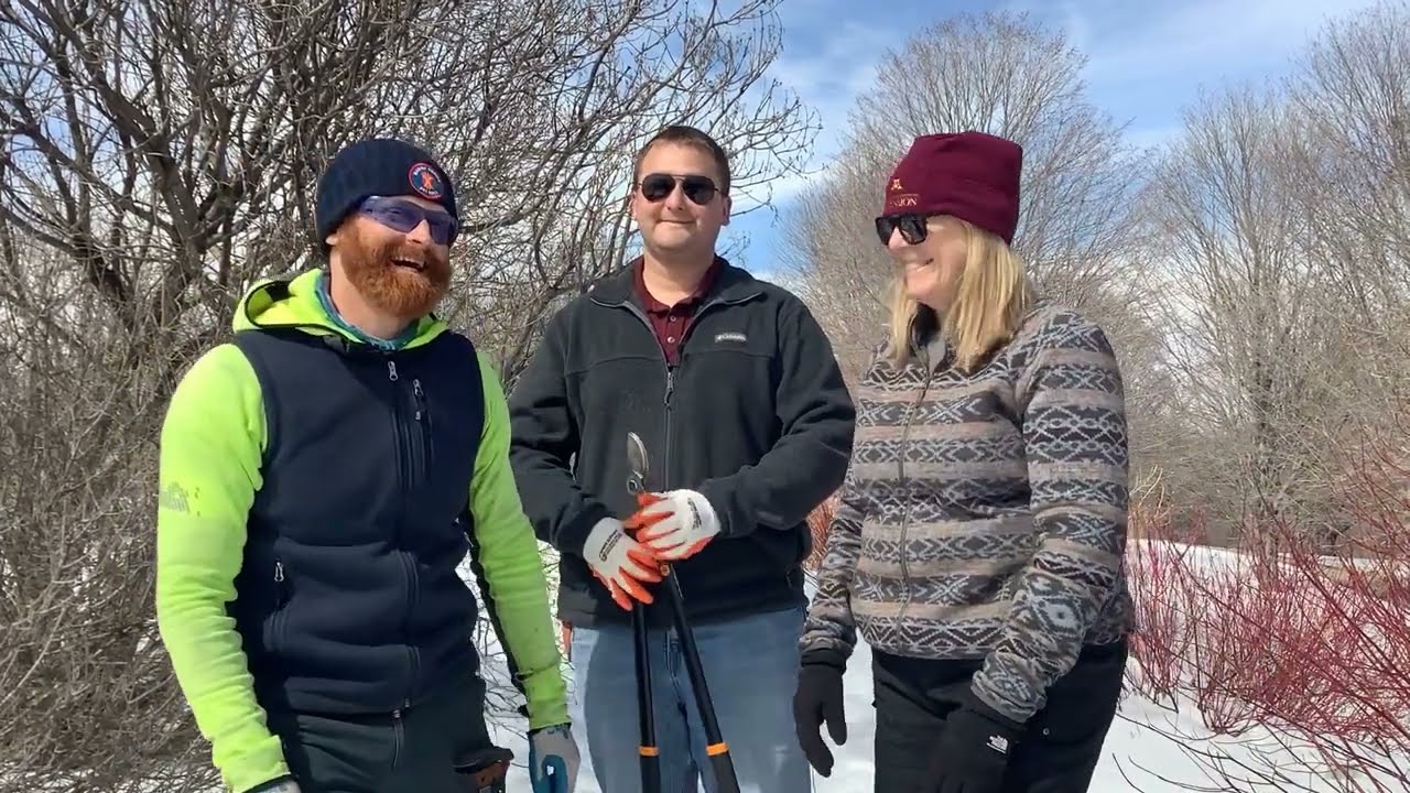 Shrub Pruning Video Series - Late Winter