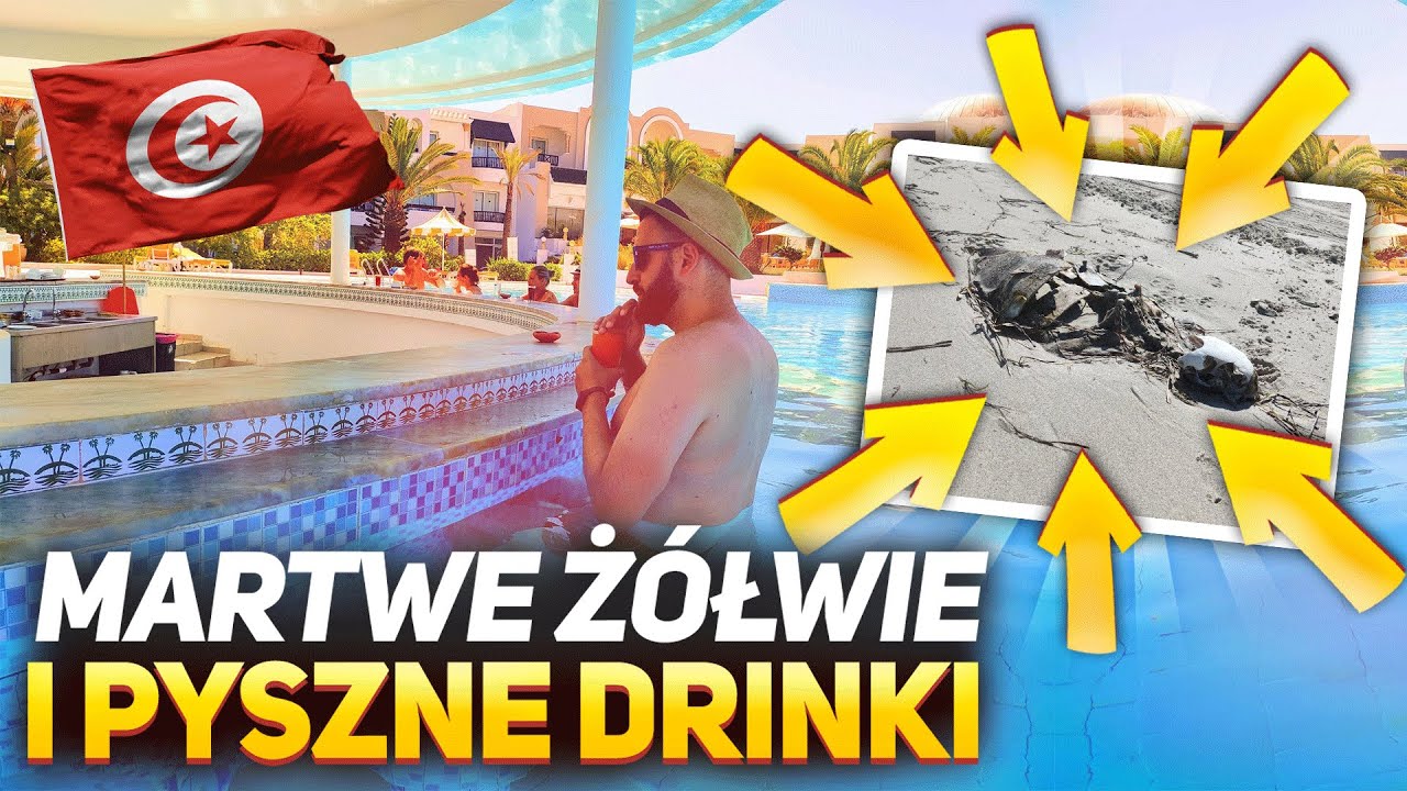 MARTWE ŻÓŁWIE I PYSZNE DRINKI - TUNEZJA