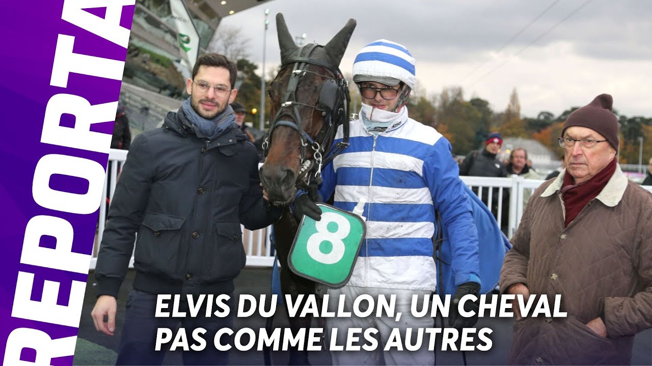 ELVIS DU VALLON, UN CHEVAL PAS COMME LES AUTRES | REPORTAGE AVEC CHARLES CUILLER