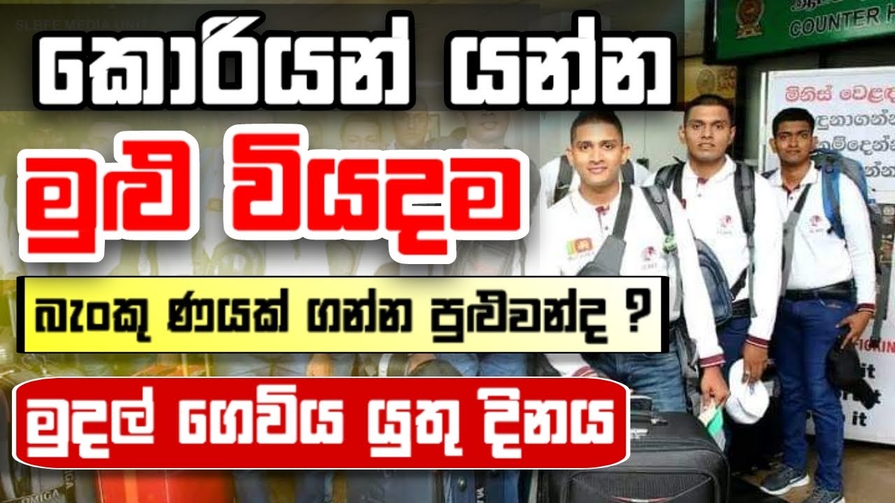 කොරියාවට යන්න වියදම් A-Z | Korean job visa for sri Lankans |  Srilanka to south korea @catfun-d4o