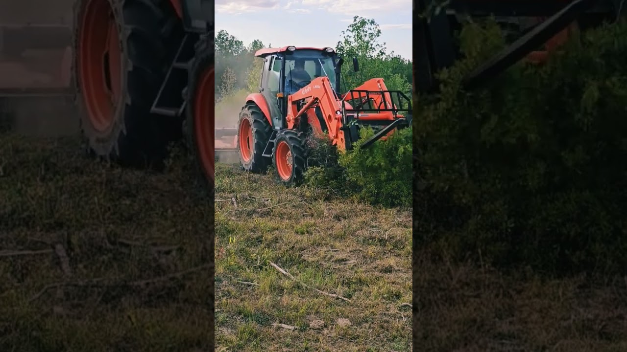 M7060 Clearing Brush #tractor #farmlife