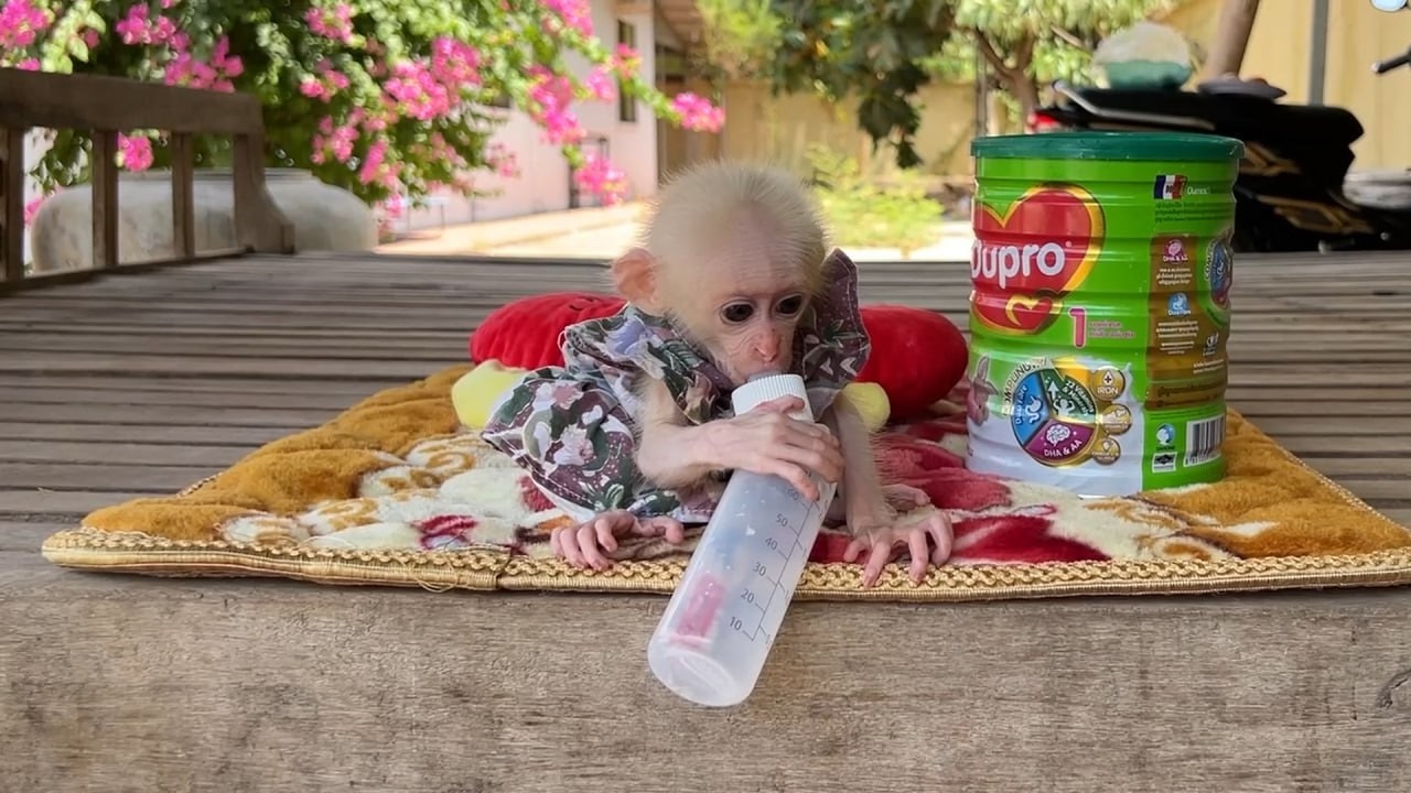 OMG Pitty Bbay Minea Making S@d Face When Mom Not Yet Give Her MIlk