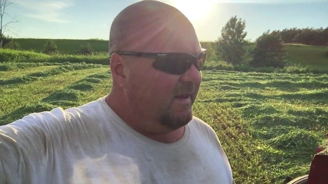 Срезаем горох и овес!!!! IMG 2341