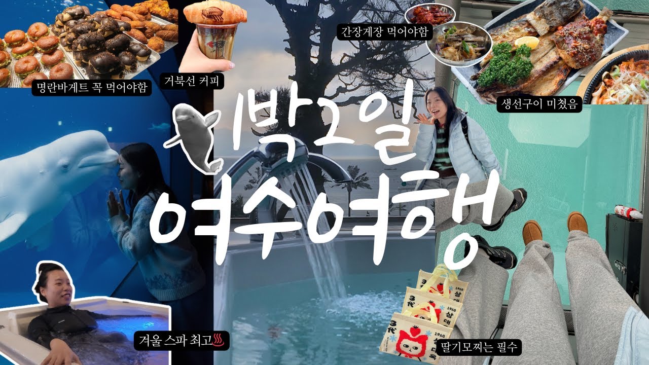 여수 여행 1박 2일 통합본｜맛집&middot;아쿠아플라넷&middot;블루망고 스파리조트&middot;해상 케이블카 40분 풀코스