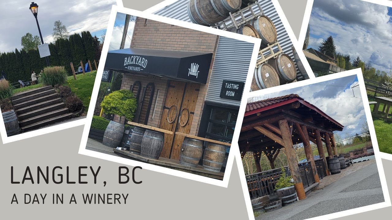 Touring in Langley, BC, Canada 🍷A day in a Winery 