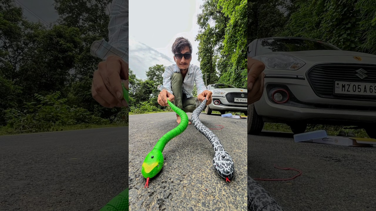 Big 2 Remote Control Snake Unboxing 🐍