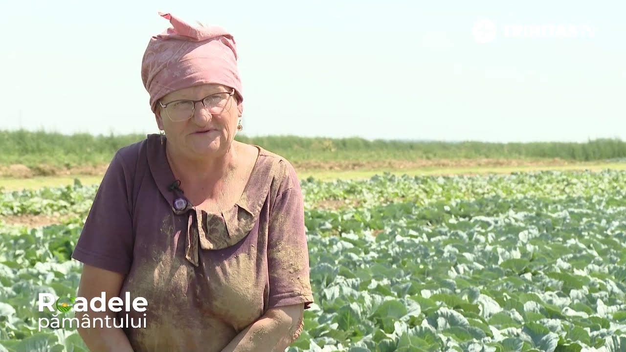 Piața de legume Lungulețu - fructe și legume sănătoase din pământ românesc #RoadelePământului