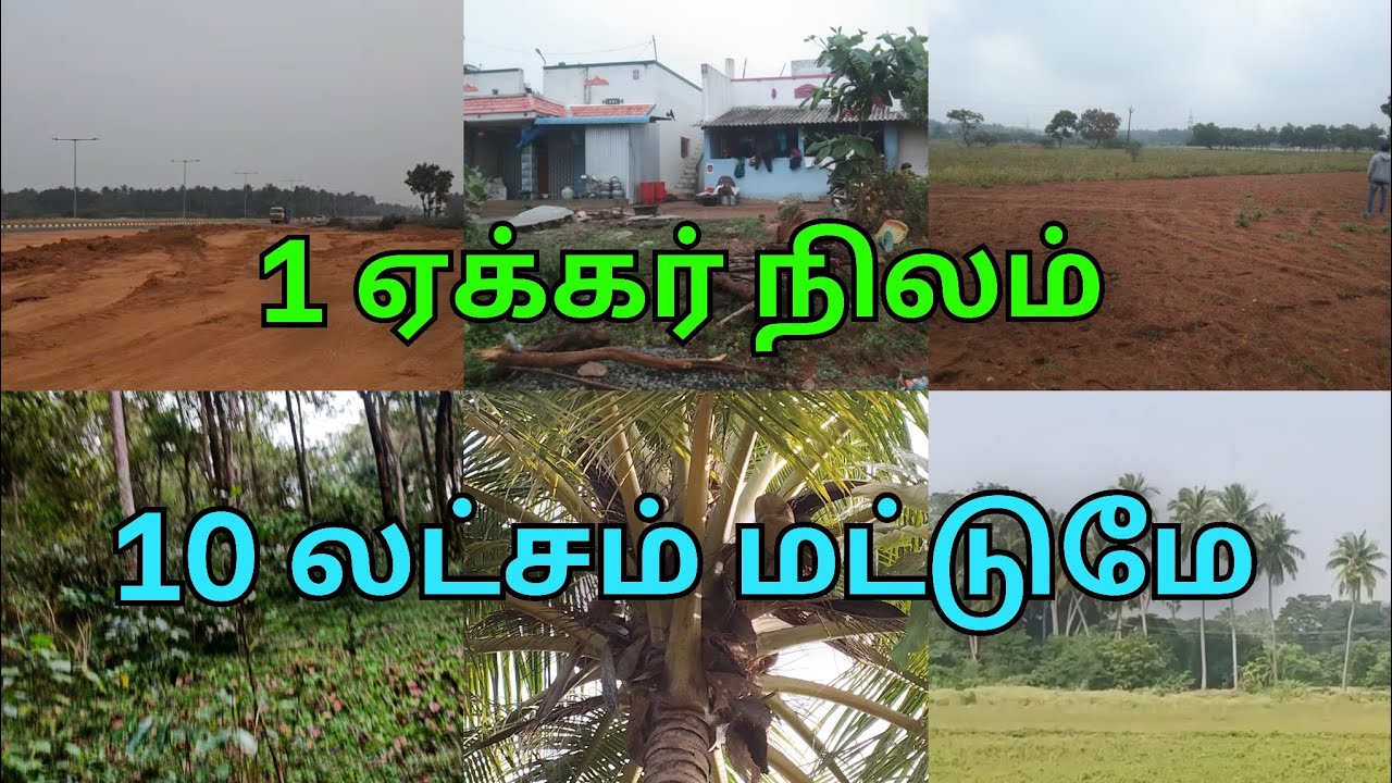 9600525601 திண்டுக்கல் மாவட்டம் மலைக்கேனி அருகில் ஊருக்கு அருகில் விவசாய நிலம் விற்பனைக்கு