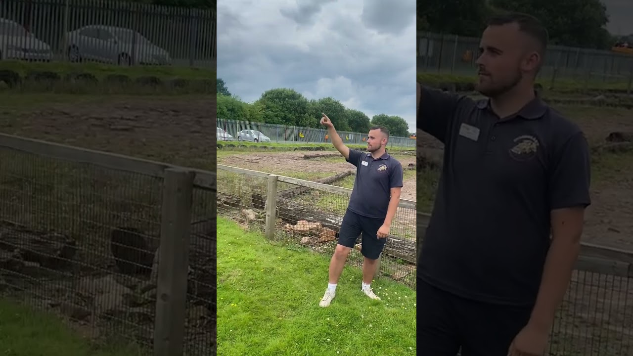 Diggerland UK: Who's that? #ukthemepark #diggerland