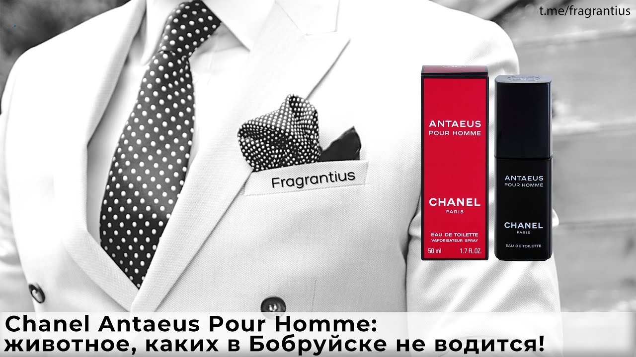 Chanel Antaeus Pour Homme: животное, каких в Бобруйске не водится!