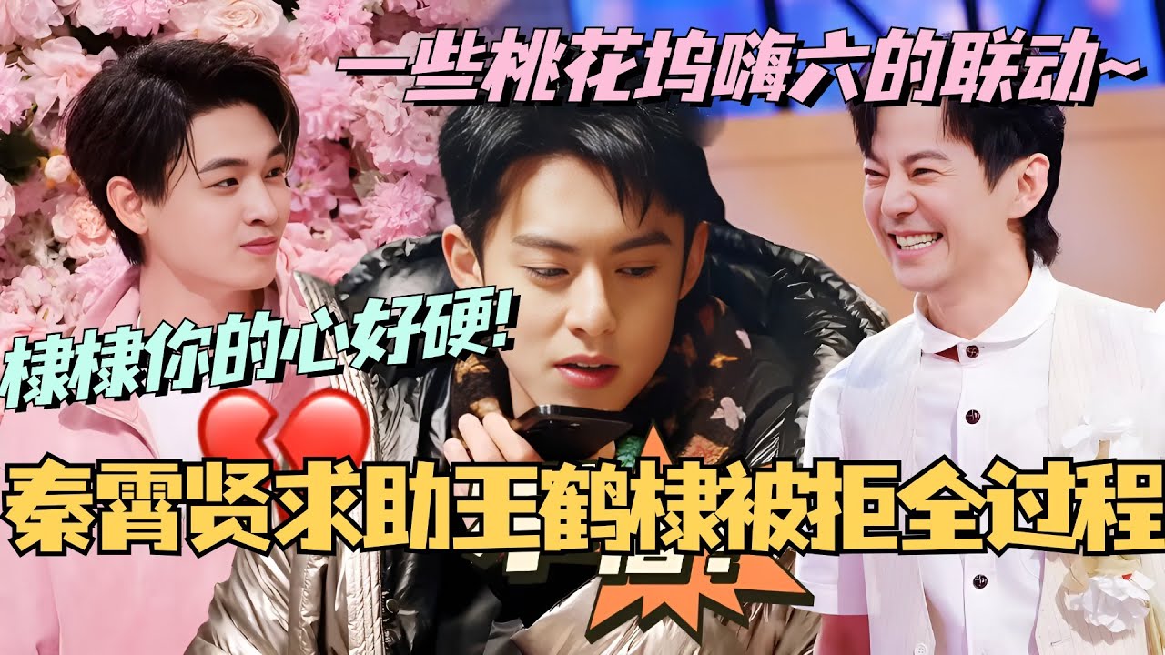 【MultiSub】秦霄贤求助王鹤棣被拒全过程有！一些桃花坞嗨六的梦幻联动！棣棣你真是心硬的男人！#综艺 #娱乐 #五十公里桃花坞 #王鹤棣 #秦霄贤 #dylanwang