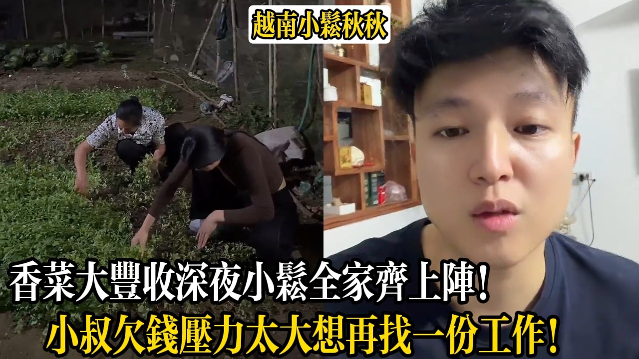 香菜大豐收深夜小松全家齊上陣！小叔欠錢壓力太大想再找一份工作！【小松秋秋生活日常】