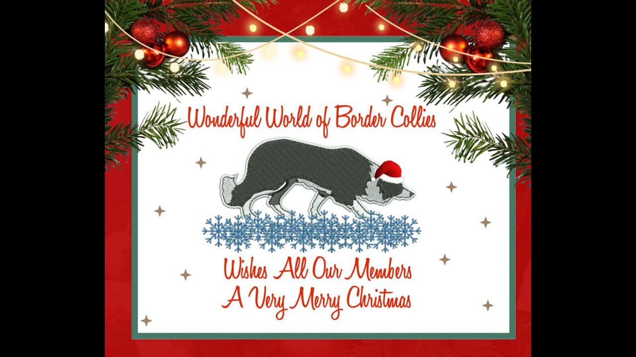 WWBC Christmas Video 2023