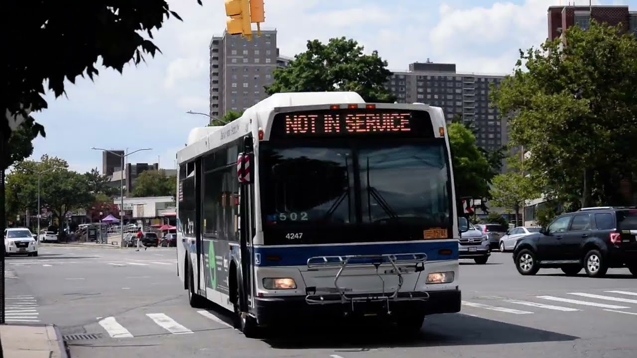 MTA Bus: 2009-2010 Orion VII Hybrid Next Generation #4247 on the Bx23