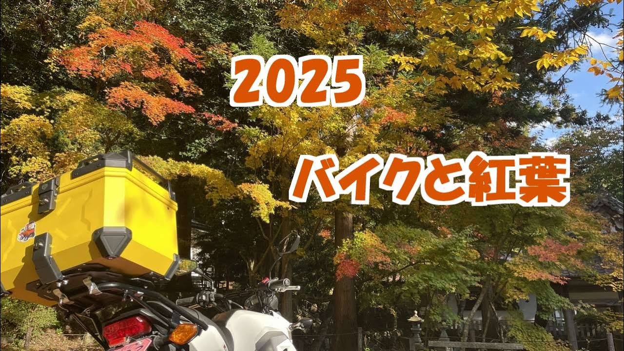 2025　バイクと紅葉