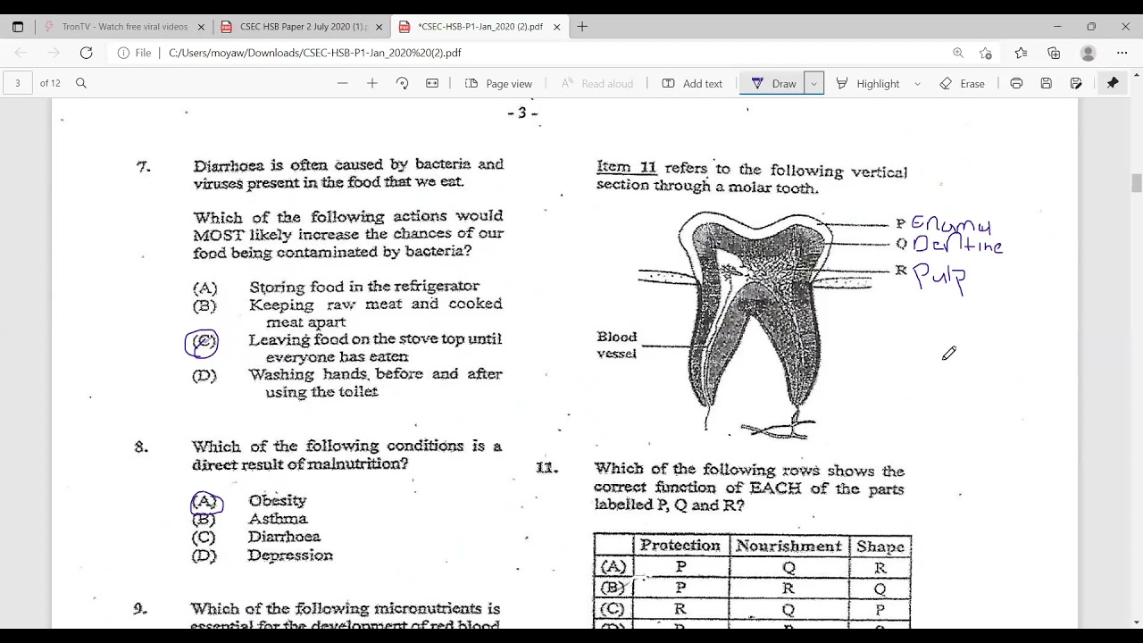 CXC/CSEC Human and Social Biology January 2020 Past Paper