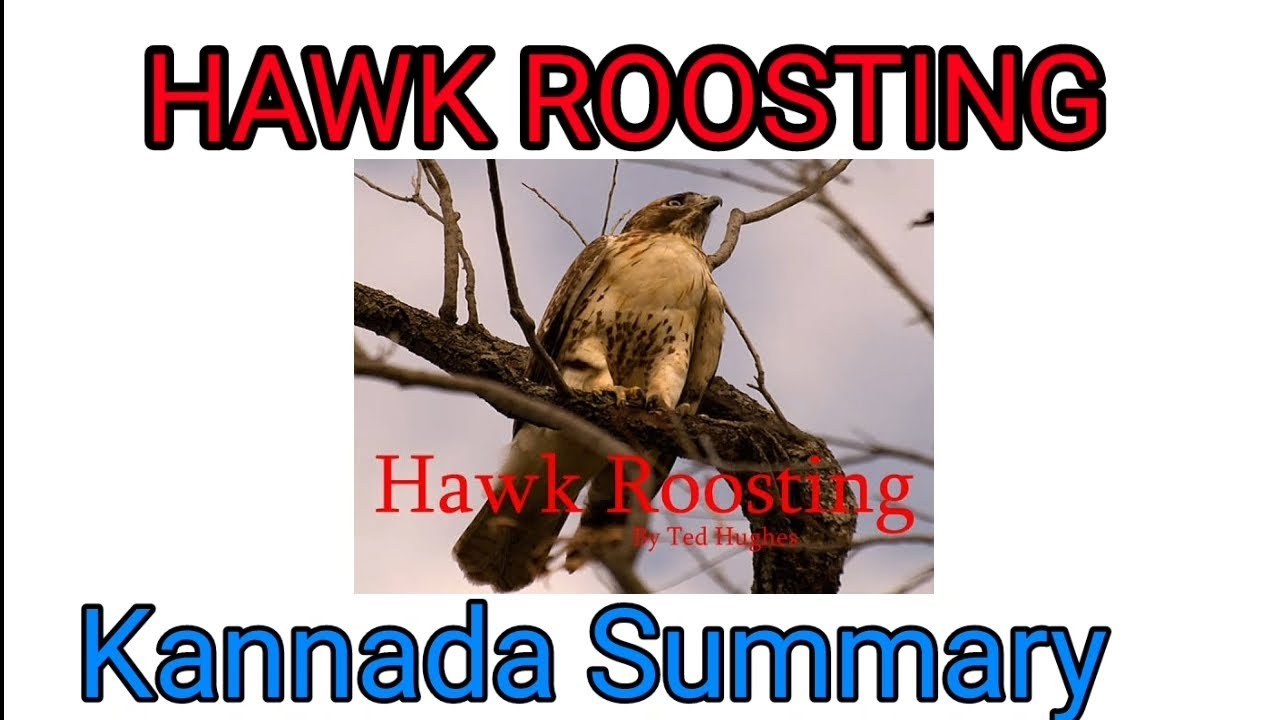 Hawk Roosting summary | Ted Hughes pome Hawk Roosting poem summary pdf @learneasilyhub