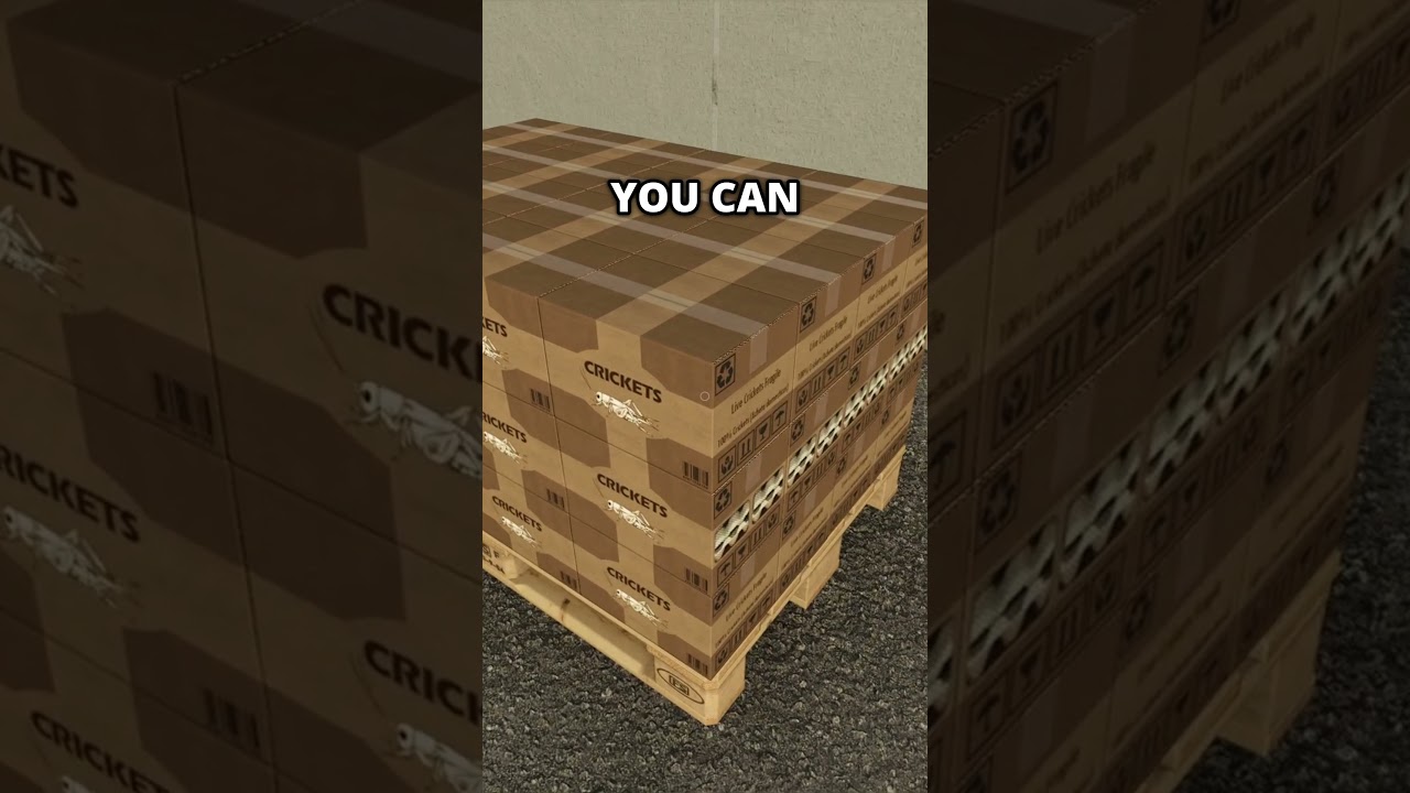 Insects Production - The most disgusting mod in Farming Simulator 25