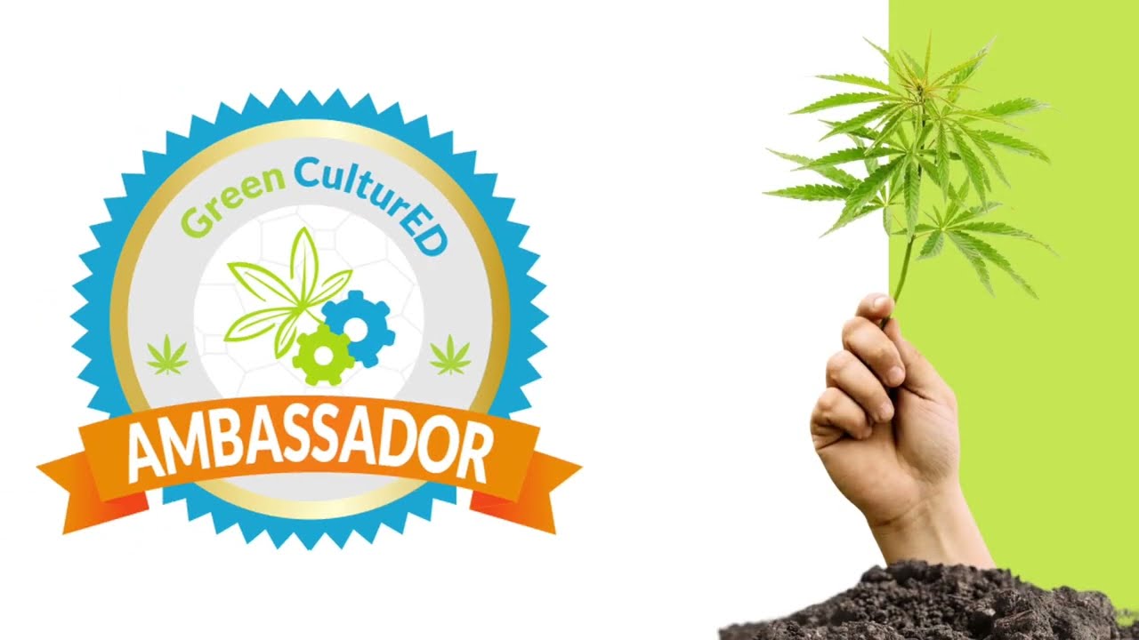 Best Cannabis Affiliate Programs 💸 (Earn 30% Commission & Recurring Subscriptions (aka Forever $$$)