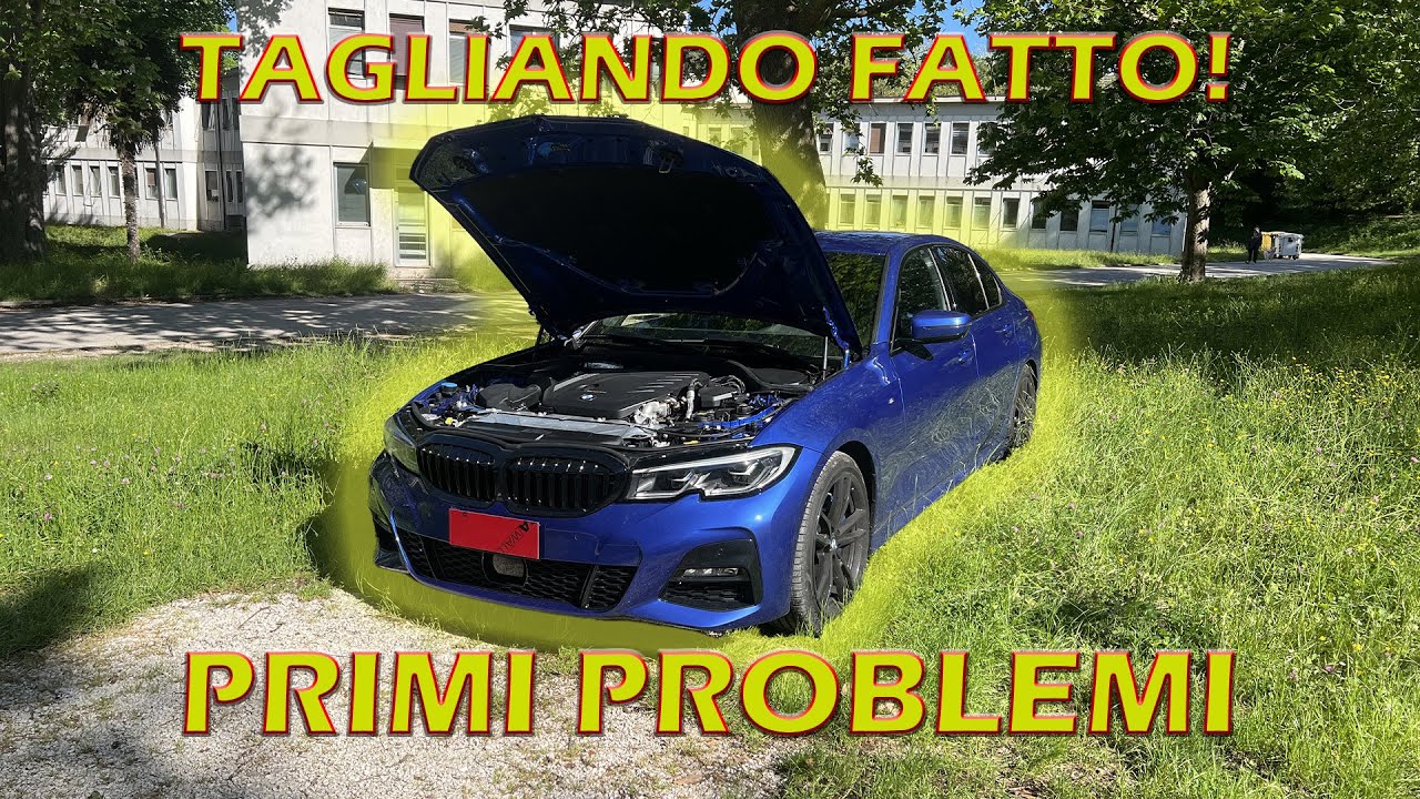 BMW SERIE 330D Xdrive 286cv: TAGLIANDO + COMINCIANO I PROBLEMI