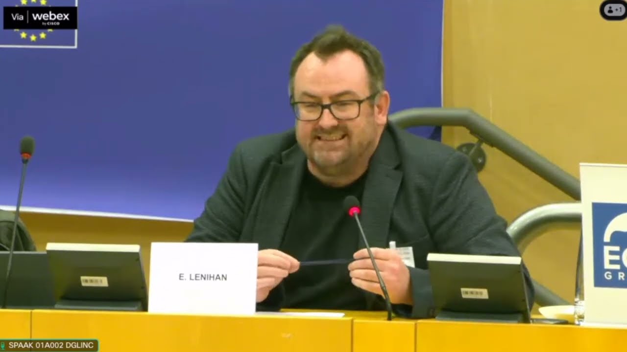 Эоин Ленихан &mdash; выступление на конференции ЕС &laquo;Гражданская война? Европа в опасности&raquo;.