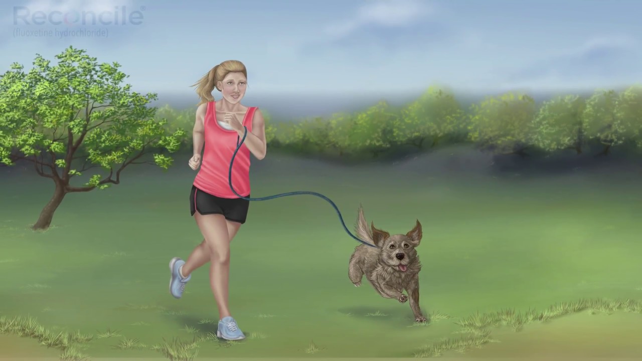 BOND Behavior Modification Training Video
