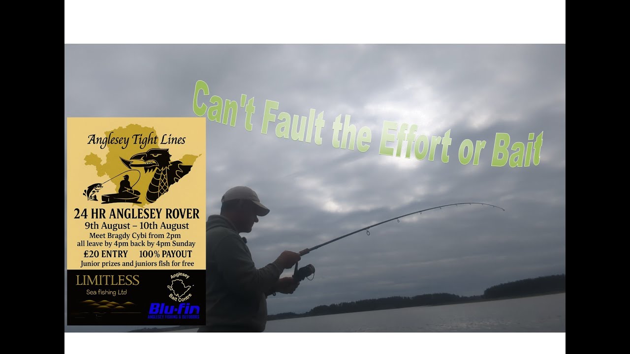 Can't Fault the Effort or the Bait!! Anglesey Shore Fishing