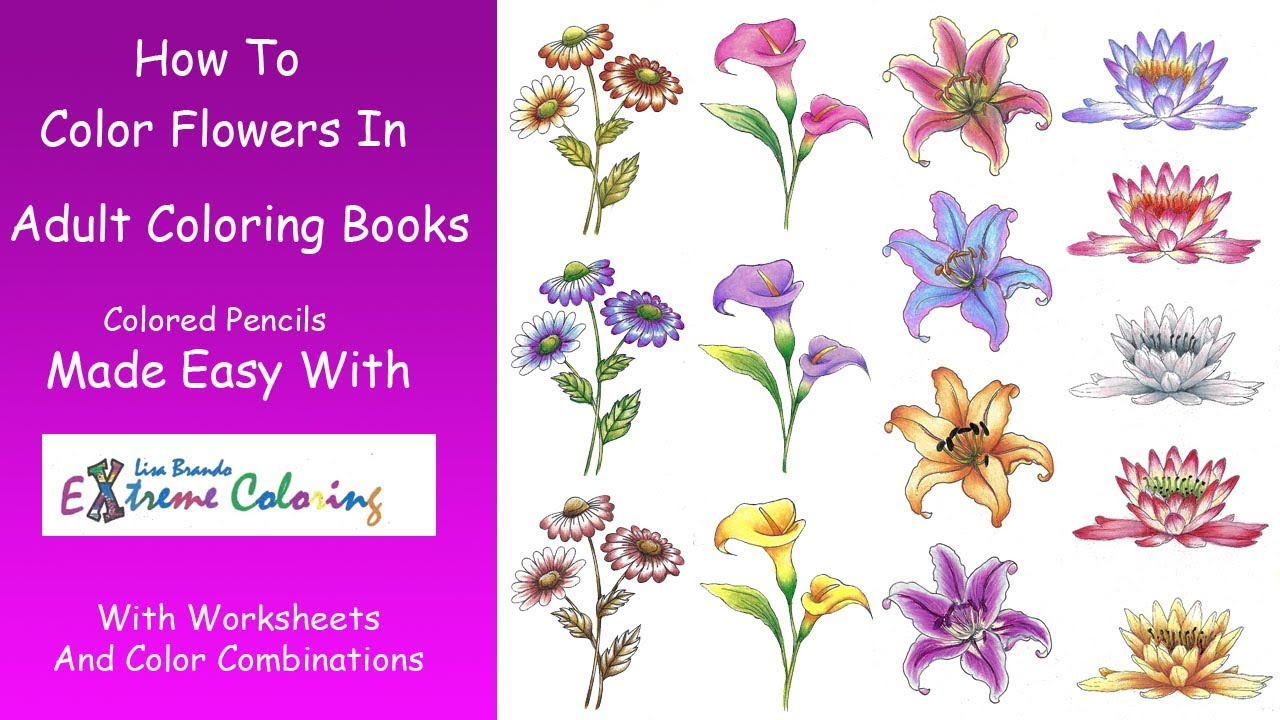 How To Color Flowers In Coloring Books Choosing Colors Combinations Blending Shading Lisa Brando