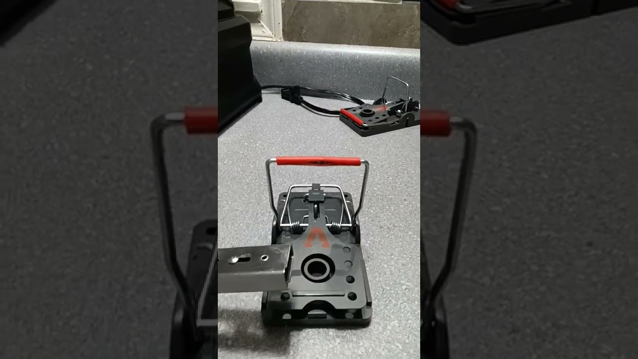 Power-kill rat trap review