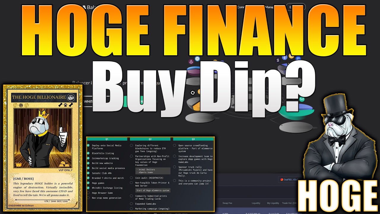 HOGE Finance Coin Price Prediction - HOGE Coin Price - HOGE Finance Price Prediction 2021