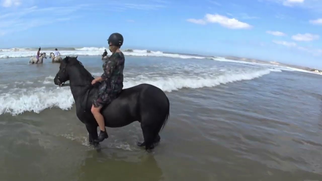 Marocco horse riding 2024