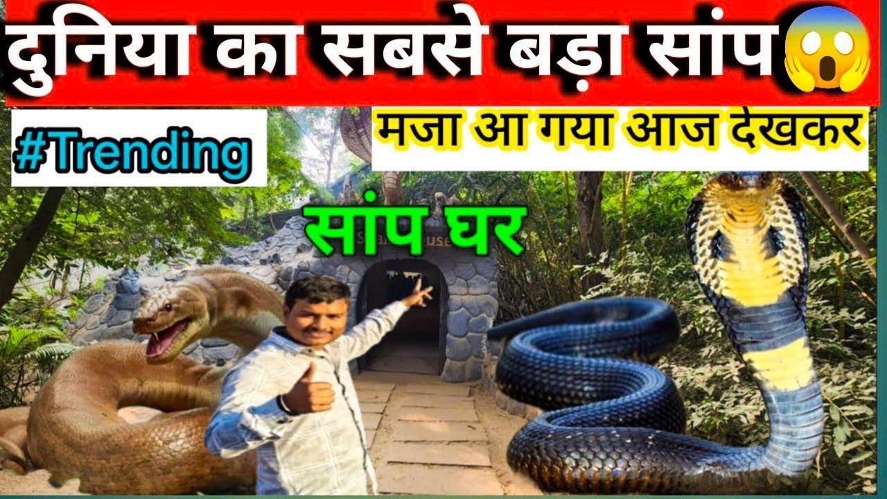 Patna Zoo Mein Tiger Se Samna! 🐯 | Patna Zoo Full Tour 2026 | Saurav Singh vlogs 