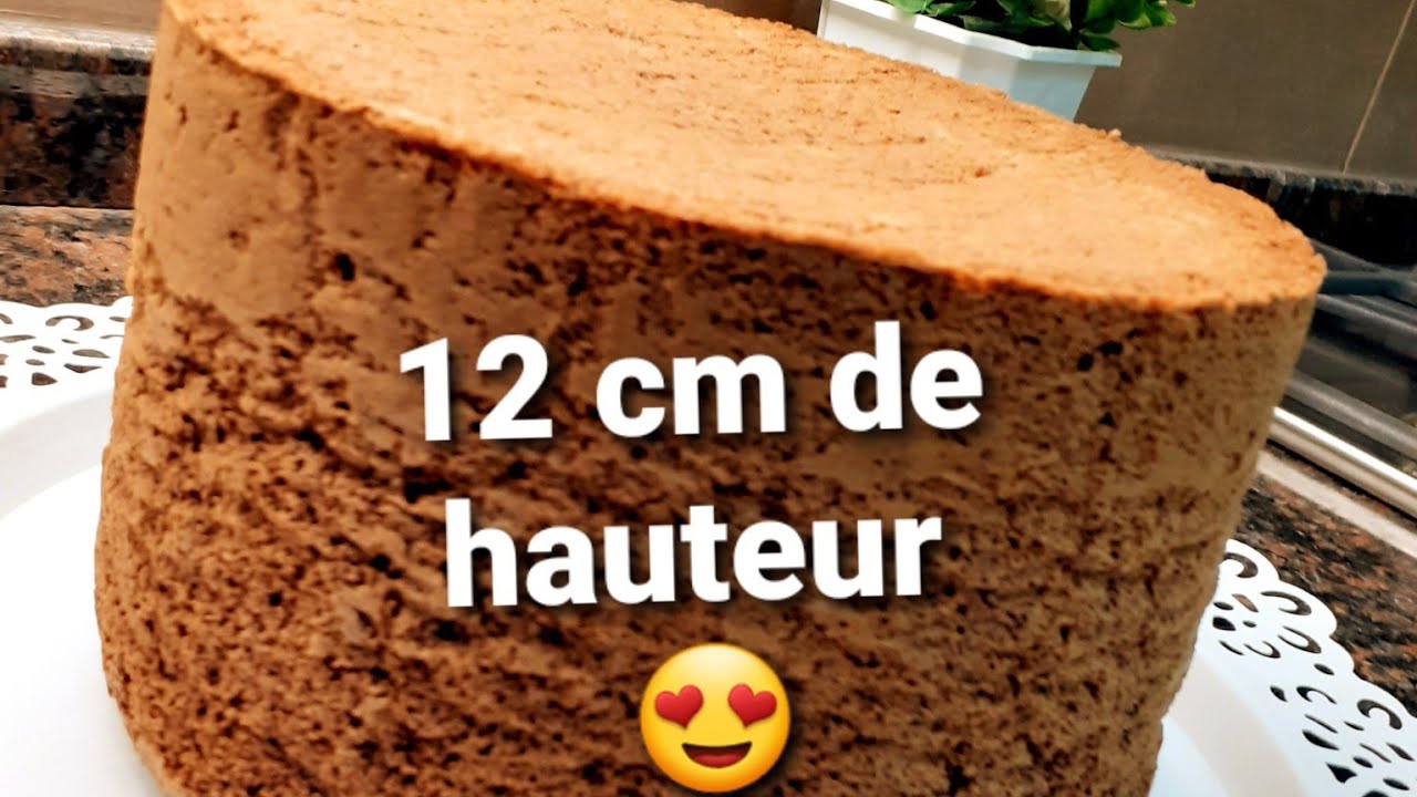 جينواز عالي و خفيف ريشة بذوق الشوكولا  مع جميع أسرار نجاحه 😍 molly cake chocolat
