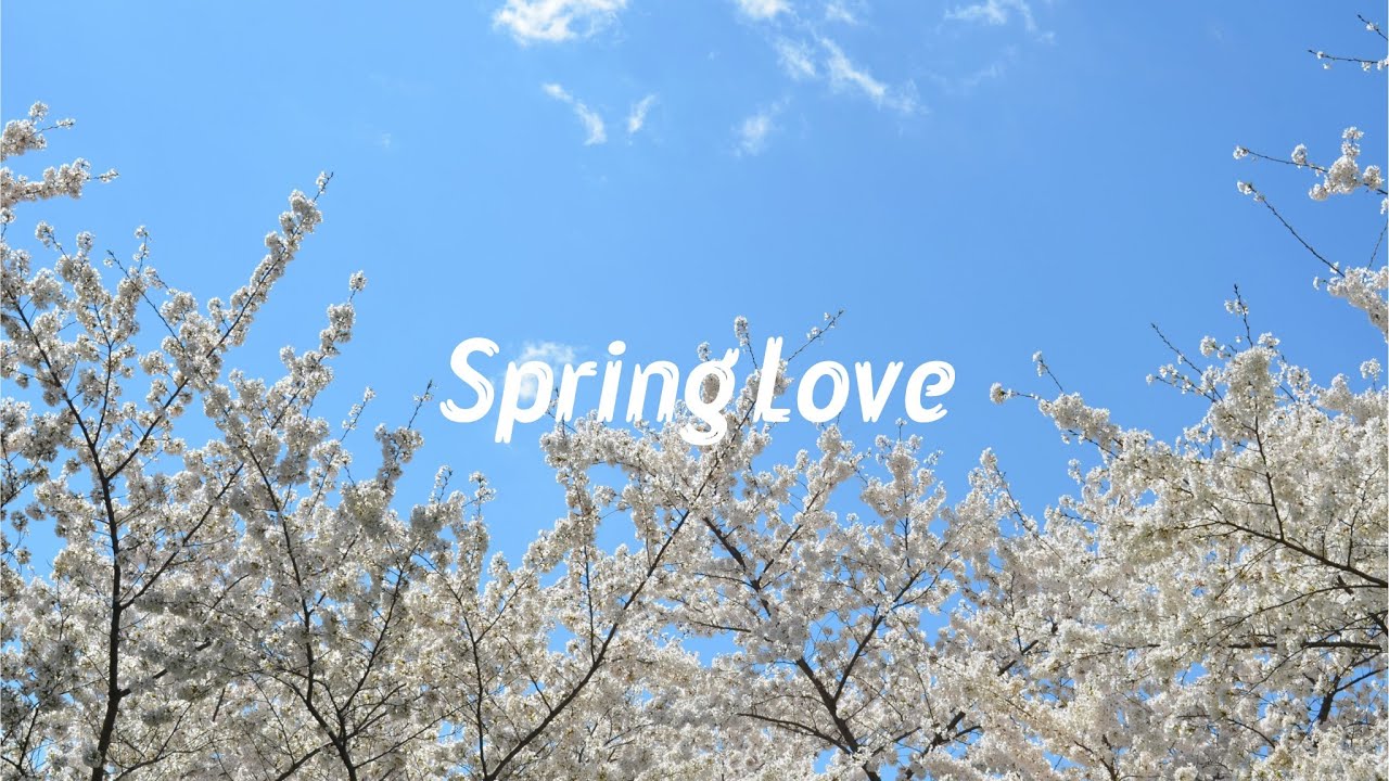 [Playlist] 벚꽃을 기다리며 연인과 함께 듣는 음악 | 봄 인디팝 플레이리스트 Spring Playlist