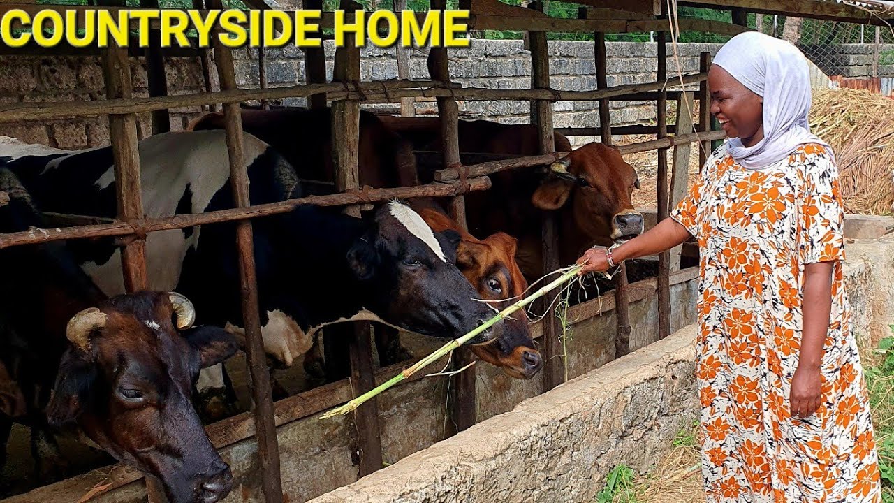 From China To Kenya Countryside | I'm Finally Home