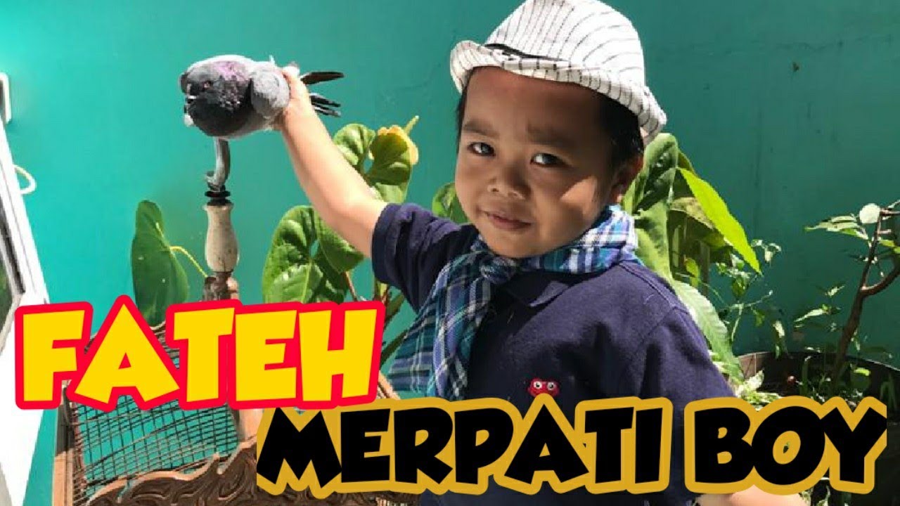 Beli BURUNG MERPATI Langsung Diajak Main ke Lapak KBB