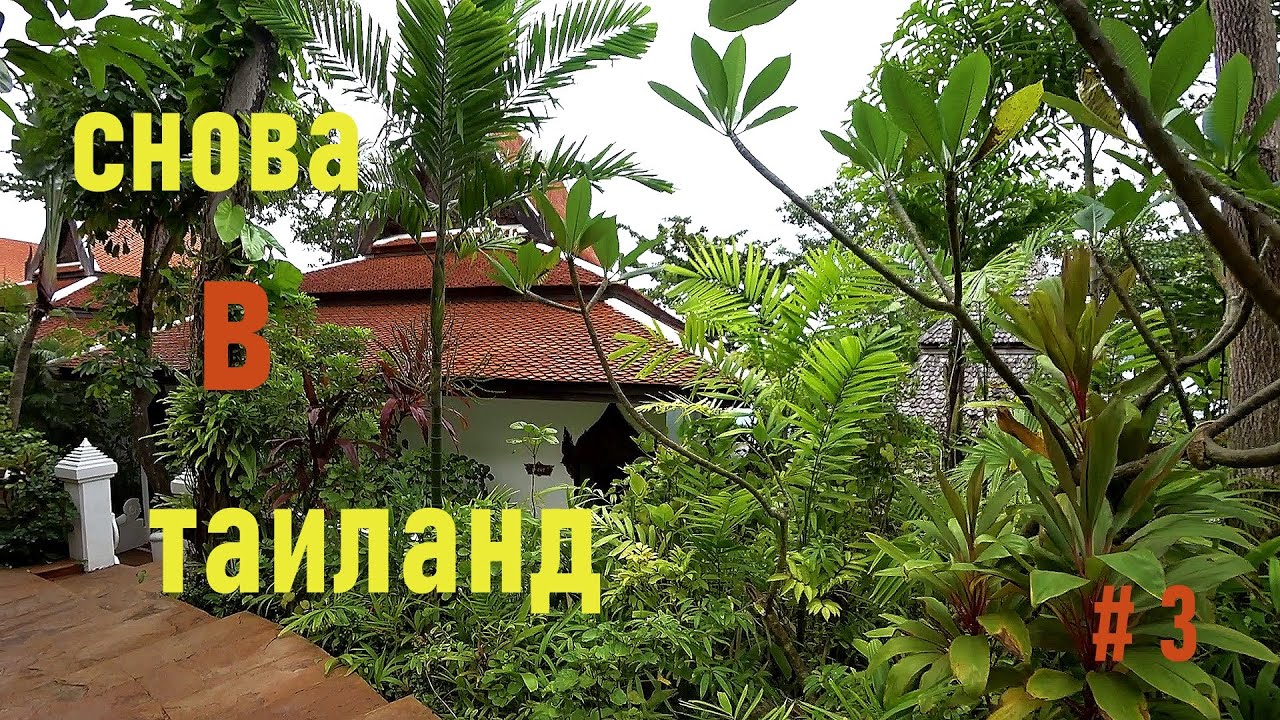 Таиланд 2023.выпуск 3.Marina Phuket Resort.Обзор лучшего отеля Пхукета. часть вторая.