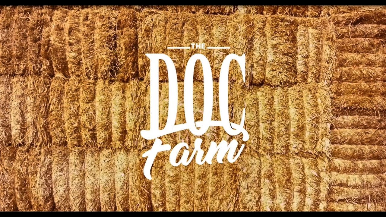 The Doc Farm - Bertinelli Video Completo