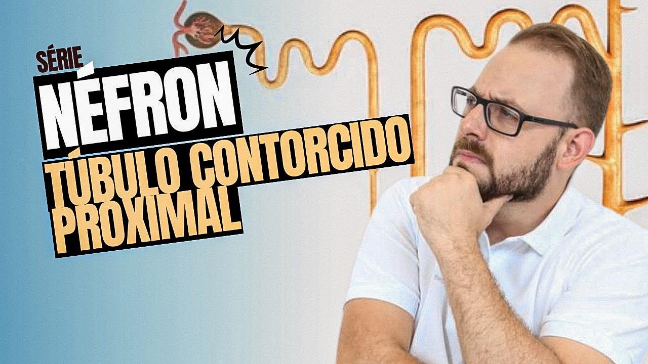 O QUE FAZ O NOSSO N&Eacute;FRON? | T&uacute;bulo contorcido proximal | Prof.Jos&eacute;