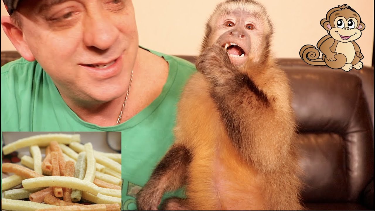 Baby Monkey EXCITED Veggie Straws!
