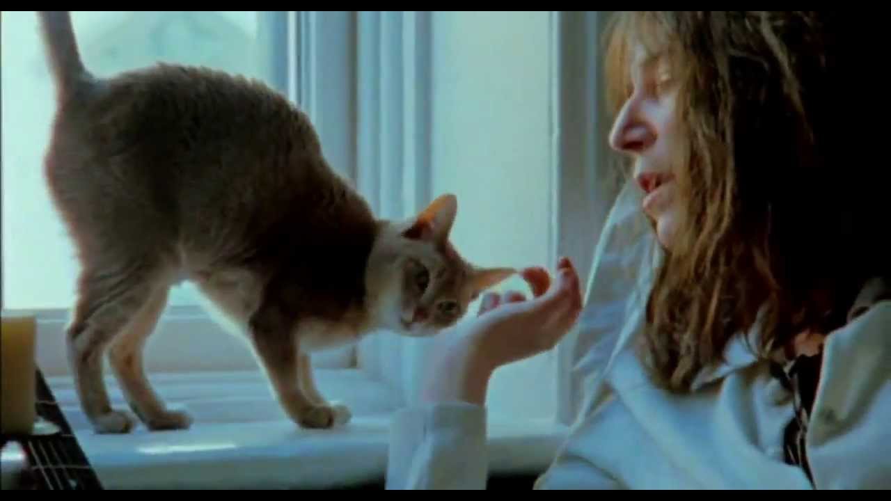 Patti Smith - Dream Of Life  ❣