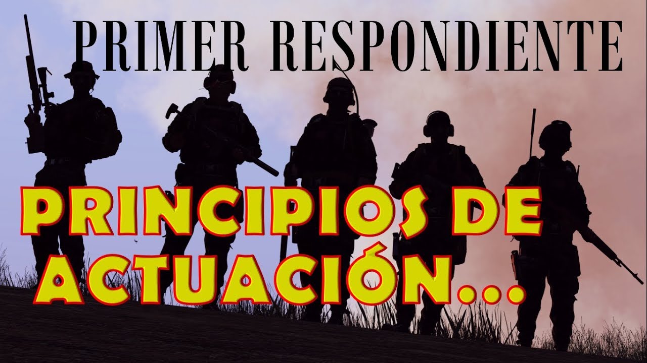 PRINCIPIOS DE ACTUACIÓN POLICIAL