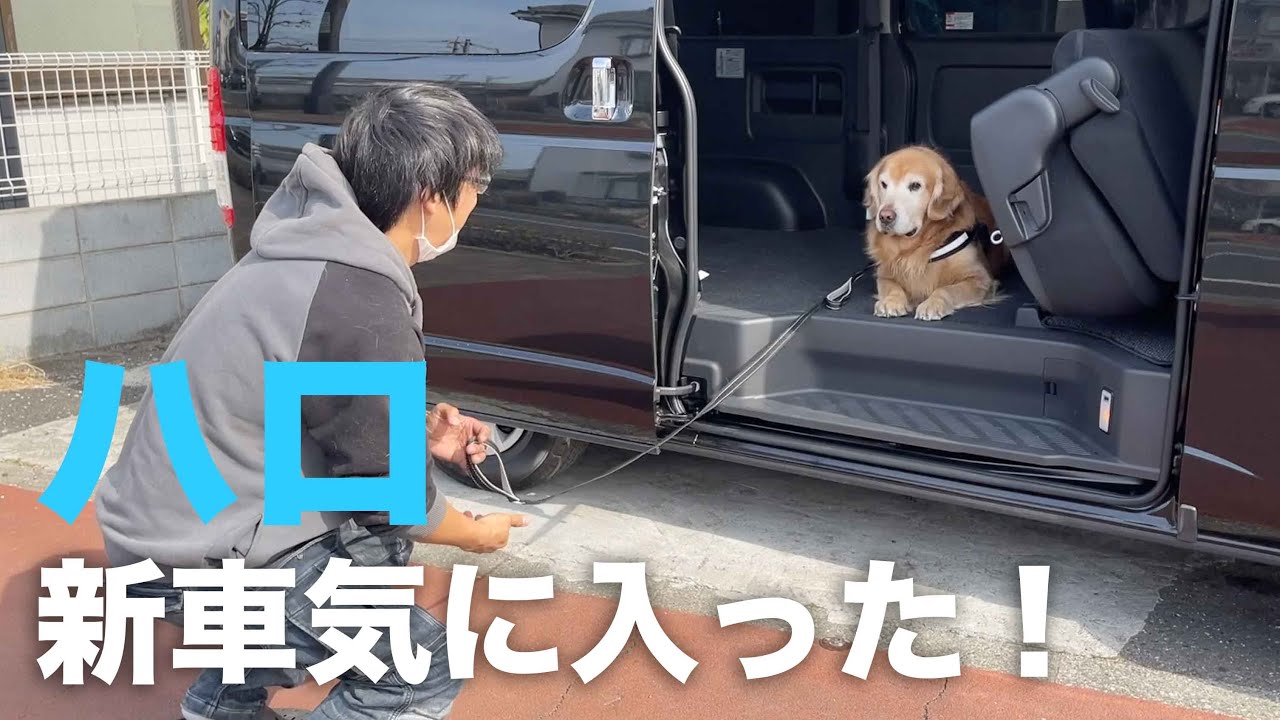 愛犬のために新車のハイエースを買いました