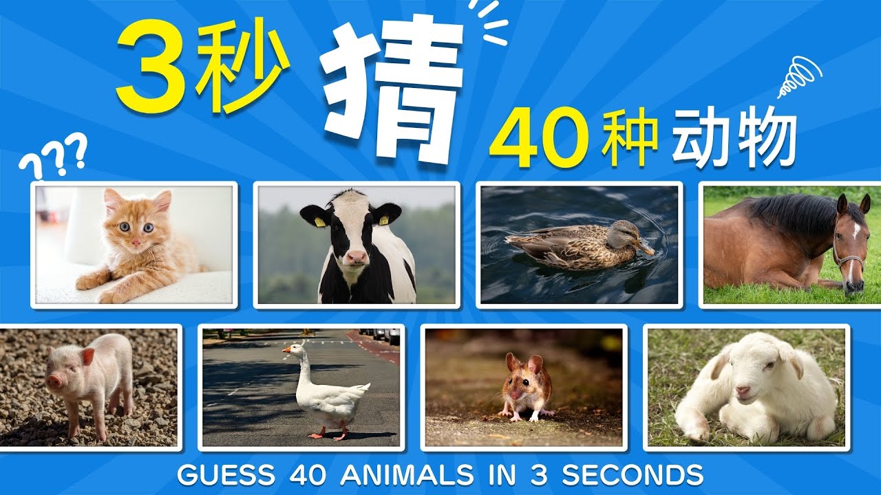 3秒内猜40种动物｜认识动物｜Guess 40 Animals in 3 Seconds｜Video for kids