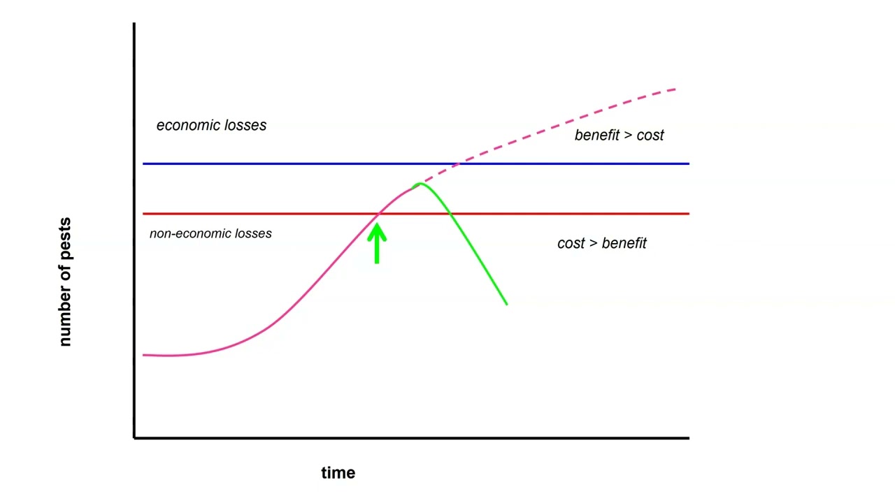 Economic threshold