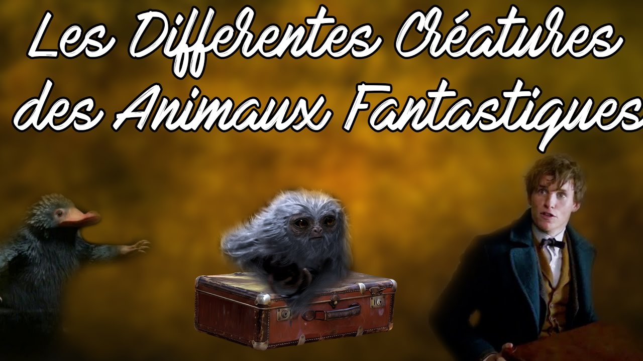 LES DIFFÉRENTES CRÉATURES DANS LES ANIMAUX FANTASTIQUES + PERSONNAGES PRINCIPAUX  l HD HPTS
